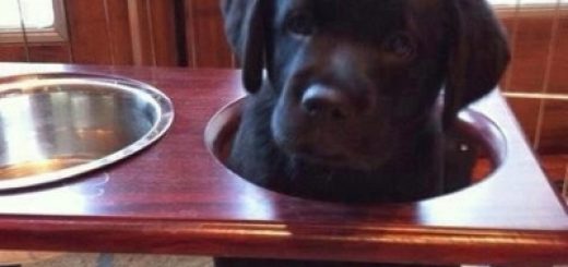 tumblr_mehri9dLFG1qf1nfpo1_400