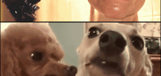 tumblr_ngswu10nZt1u60zr1o1_400