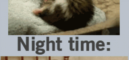 tumblr_nwn2rgj7L71uwshcxo1_400