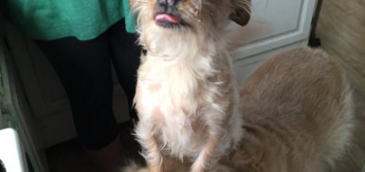 tumblr_ophukiIAEi1qewacoo4_500