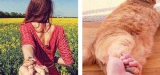 tumblr_opti9ae3tS1rir0h2o1_500