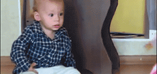 26ca96ee8476659e66490d933cb5b4a8