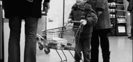 2cb50911ab6b7ebb70609a49131bb335