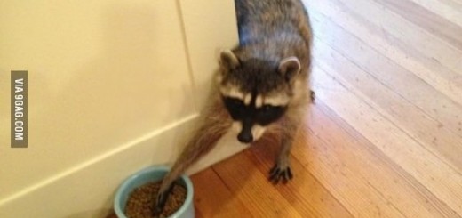 2cfce4a611214c571cf02ce426233697