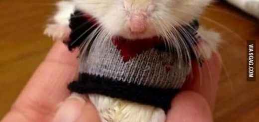 32a73d98cc438d9a6fd0408f858be968