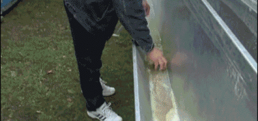 428cec911a6ad345196d39e1d3eb841e