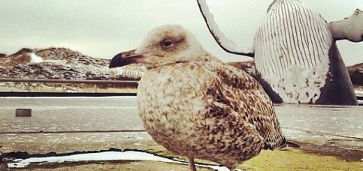 97a81e557e9f77a6082bc300ef43d16d