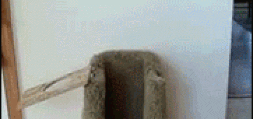 9b1b65d94d04cb303df7e274acddfbed