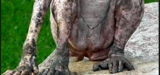 Furry_2db22e_5181859