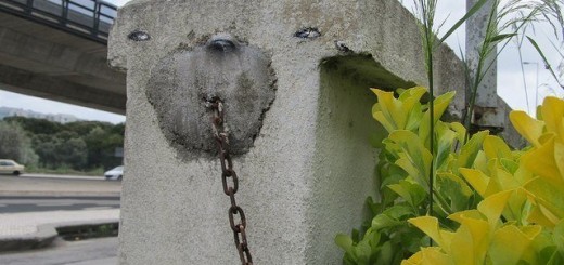 This+isn+t+spaghetti_1b289e_5201405