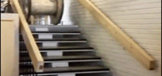 a1755523e3a29b878c67d919ea845792