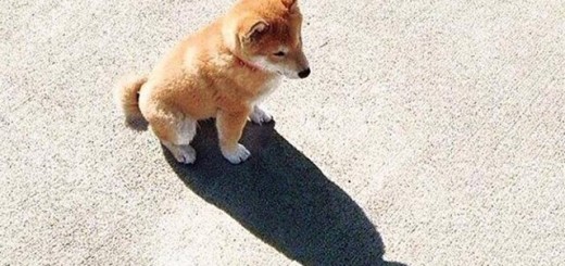 b2760dd22e1552fb673511963af736c6