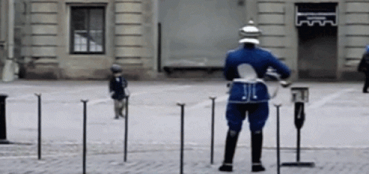 must+be+a+dad_cf51b4_5182407