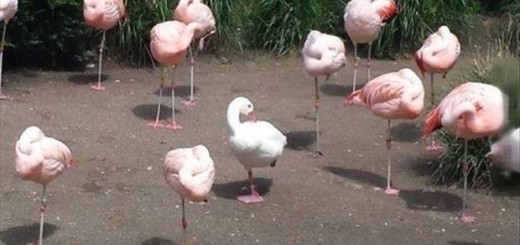 untitled_f87205_5192445