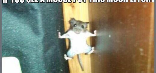 10485533_575397222561279_5292713294447882363_n