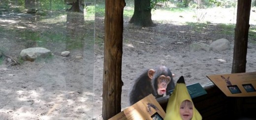 35266590cc36dc2340b1e7388770dd64