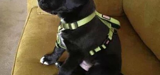 afternoon-break-203-06302014