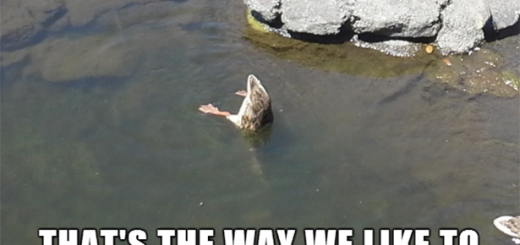 afternoon-break-218-06302014