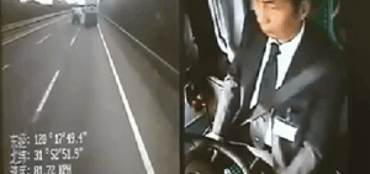 daily_gifdump_673_28