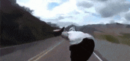 stupid+and+lucky.+Did+you+enjoy+the+content+Why+not+send_1dc95e_5222778