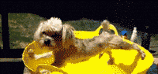 when-you-really-dont-feel-like-doing-anything