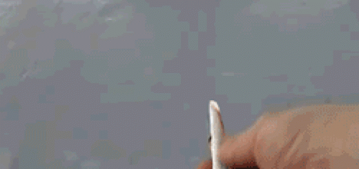 Dolphins+just+want+to+have+fun.+Once+upon+a+time_be3874_5252175