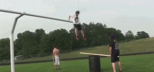 UnevenHomelyAngelfish thumbnail