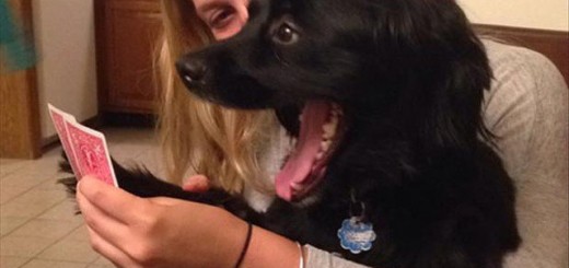 b2a7b5edbfb8bf901b5acd8f2b7260e8