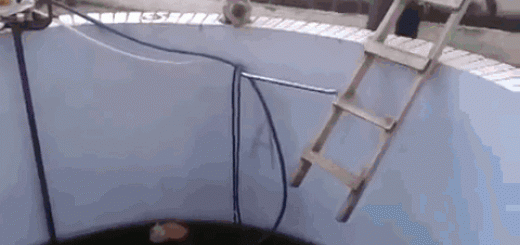 Instant+karma+just+add+water_03bc91_5309881