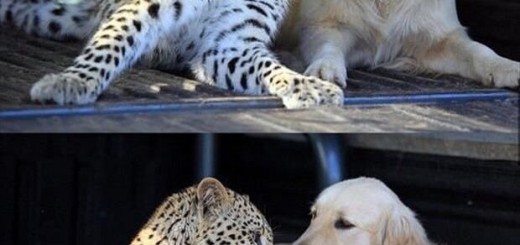 Smexy_9b9919_5289978