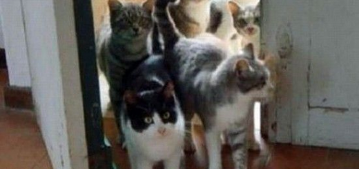 This+is+me_0a2bc5_5310076