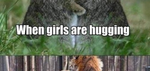 Hugs+to+you+all_8f8fb7_5316890