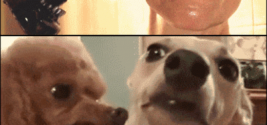 I+missed+all+you+glorious+bastards_f33509_5316820