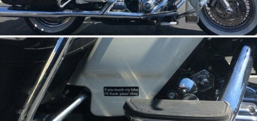 I+ll+fuck+your+dog_ff8967_5360014