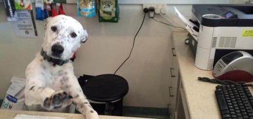 Ma+am+calm+down+i+m+doing+all+i+can_fd4a45_5360084