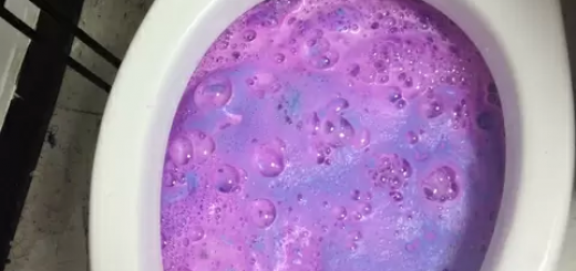 Stop+eating+unicorns+and+shit_0020ef_5360154