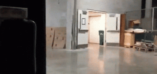 daily_gifdump_746_05