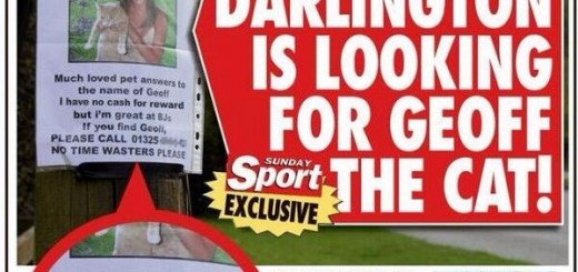 A+bj+for+lost+cat+she+s+not+even+kitten_7863a8_5438197