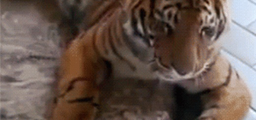 Deep+kiss_7d43c0_5411661