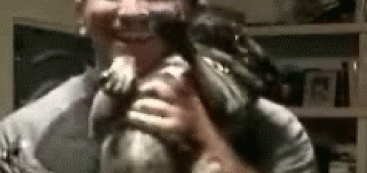 Dog+pee+s+in+guy+s+mouth_c80339_5432473