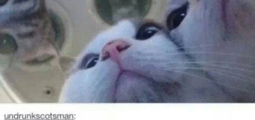 God+dammit+frank+add+me+on+steam+i+need+killer_30b513_5438135