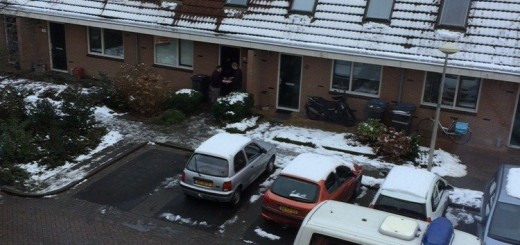 Man+got+caught+growing+weed+by+the+snow+small+in_9f1d4b_5438196