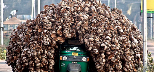 Tuk+life+the+start+of+something+beautiful+tuk+is+love_f2e839_5432367