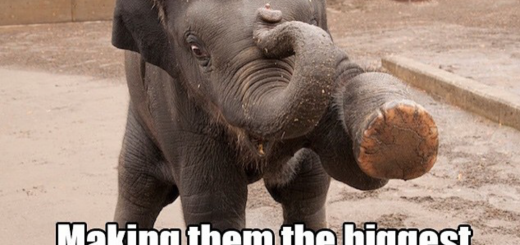 Um+rude_7fd5ff_5429040