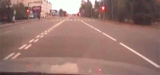 daily_gifdump_759_07