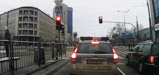 daily_gifdump_759_24