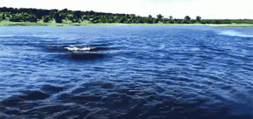 tumblr_niam94WLMT1qz6f9yo1_r1_500