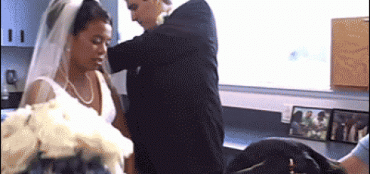 Penguin-wedding-dress