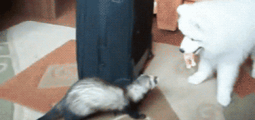 Fancy+feat_48d8e7_5477036