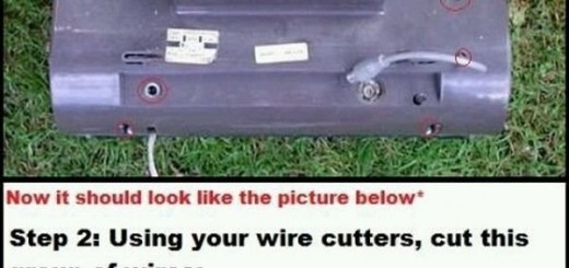 Free+hd+tv_c8a58c_5470037